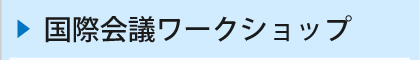 国際会議ワークショップ